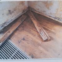 Gymnastikraum mit Schimmelbildung